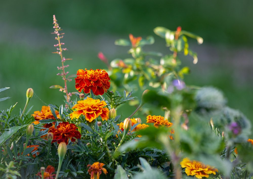 Photograph by Сергей Басов