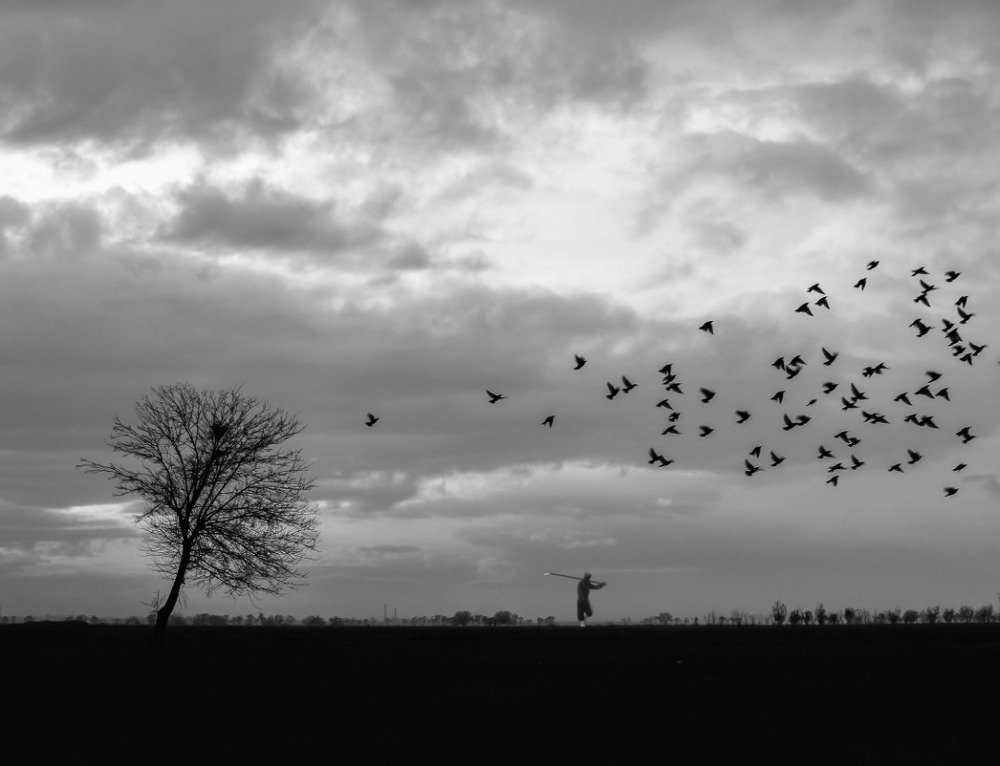 Фотография автора payman Mollaie