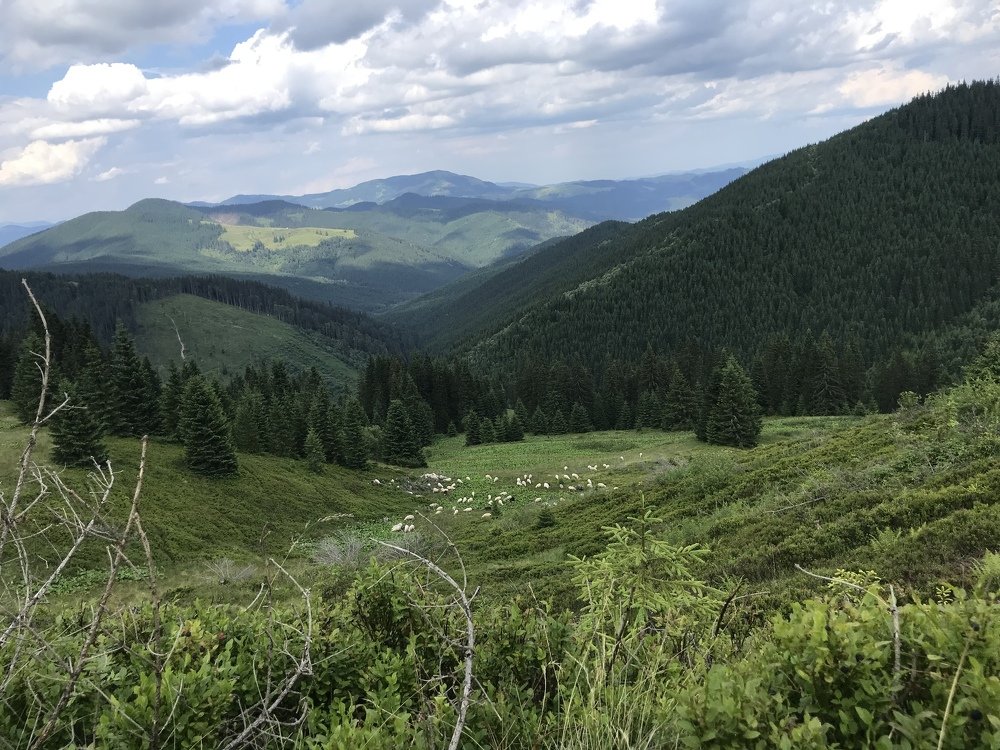 Photograph by Ваня