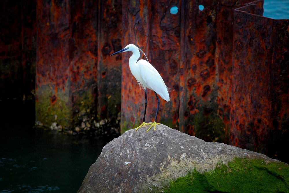 Photograph by Александр Волжинский