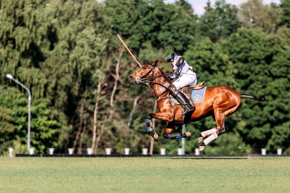 Photograph by Альбина Сагитова