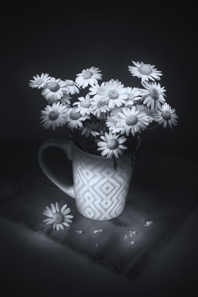 Фотография автора Игорь Баранов