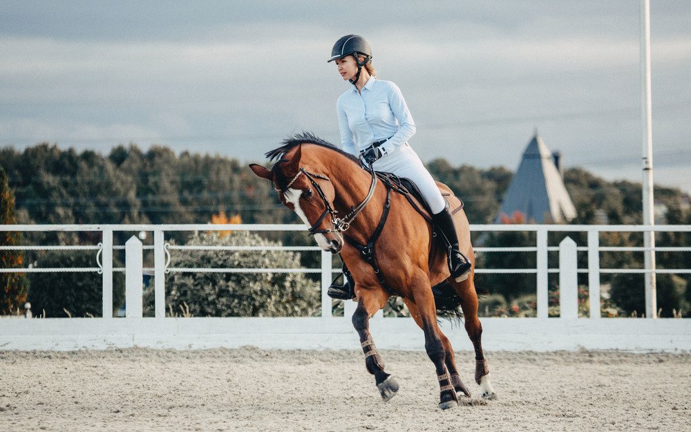 Photograph by Альбина Сагитова