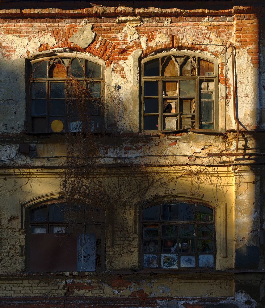 Photograph by Николай Шадрин