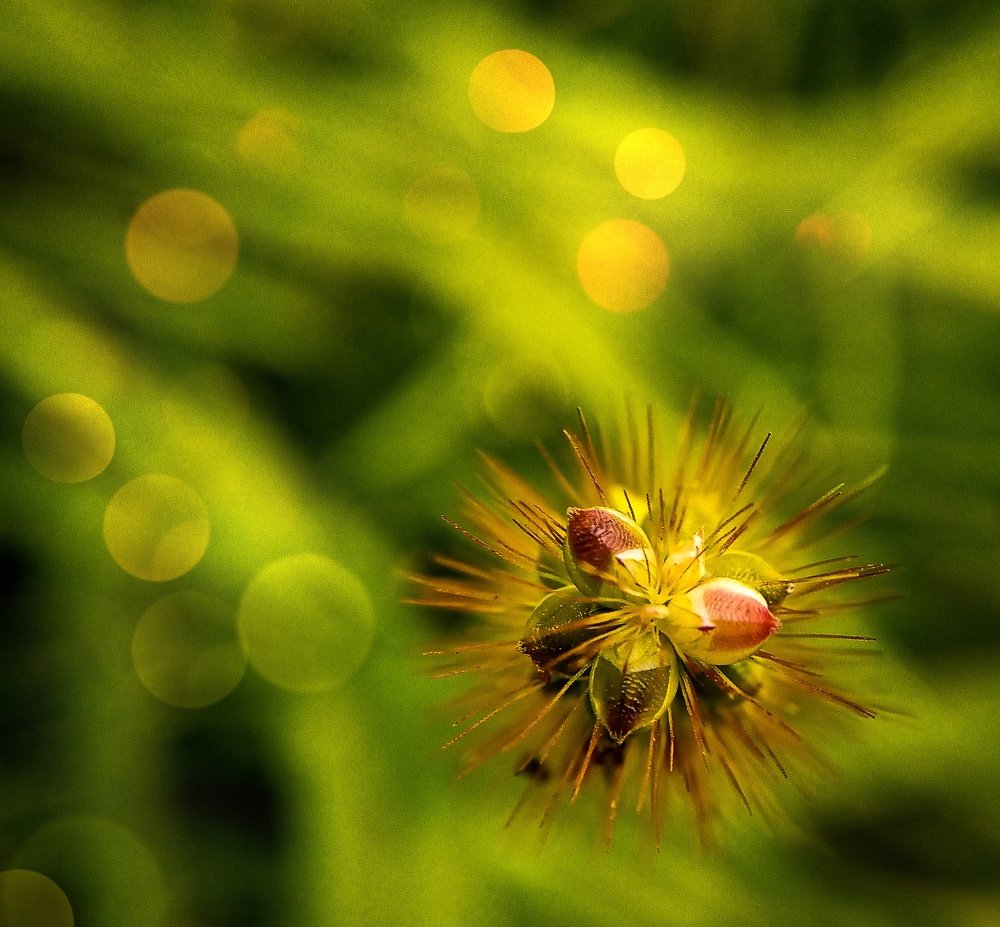 Photograph by Оля Белоусова