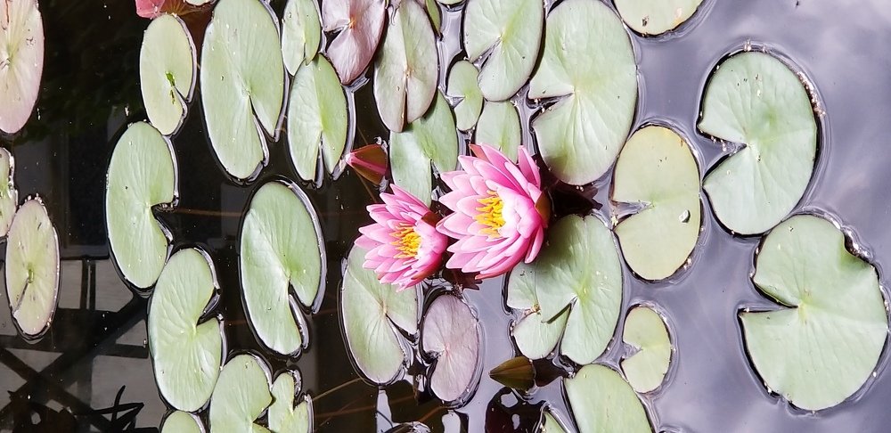 Photo #4845636