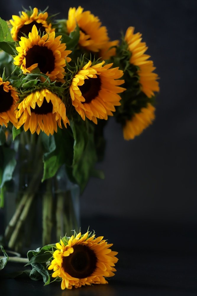 Photograph by Olena Fritz