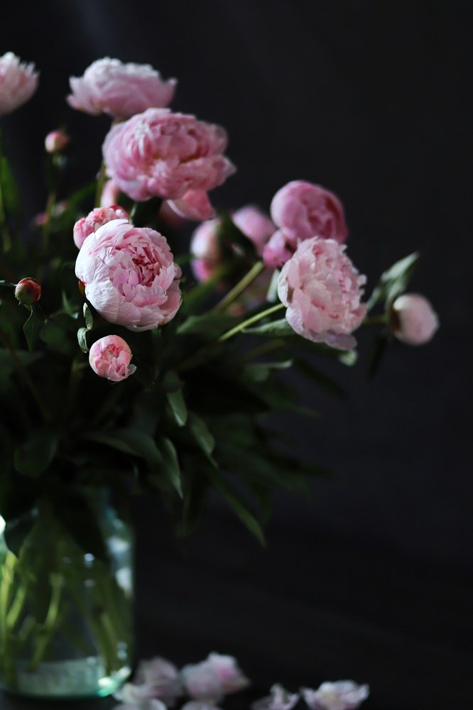 Photograph by Olena Fritz