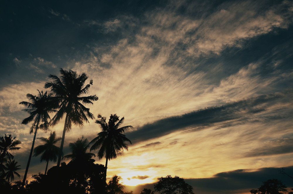 silhouette from small village.