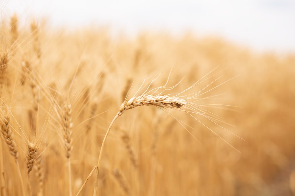 Photograph by Алексей