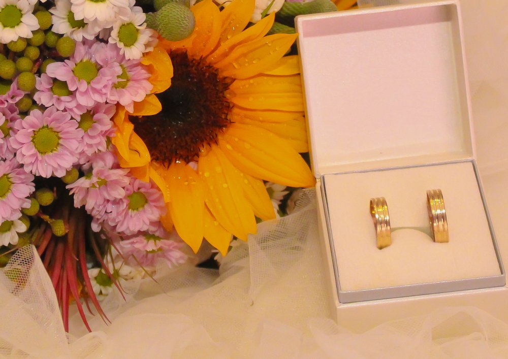 Photograph by Francisco Ferreira