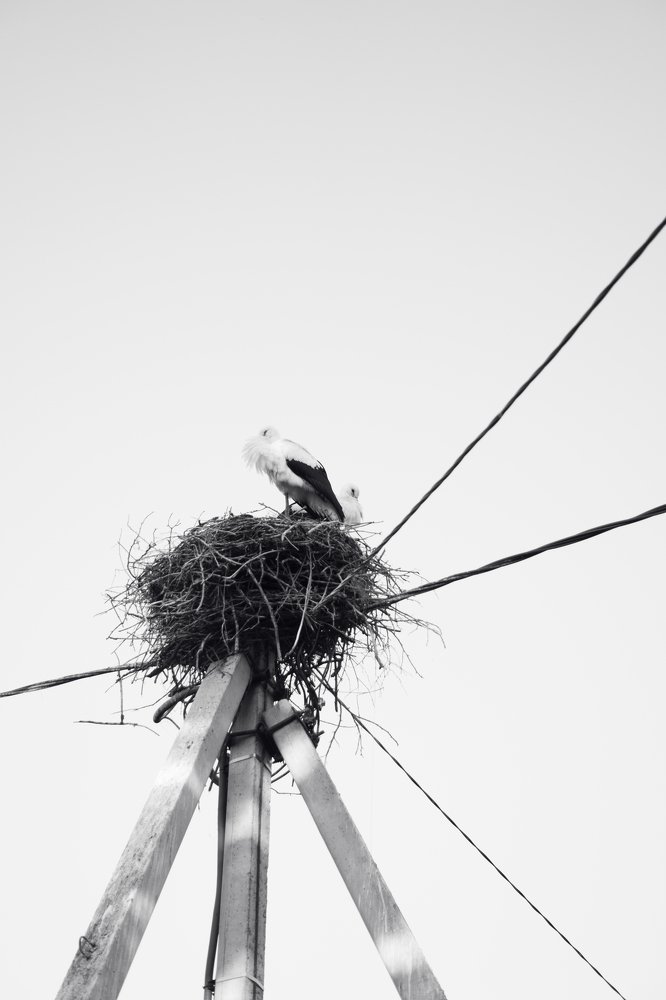 Photograph by Анна Берзина