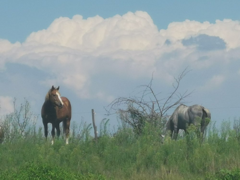 Photograph by Ksenija-Sena Kovacevic