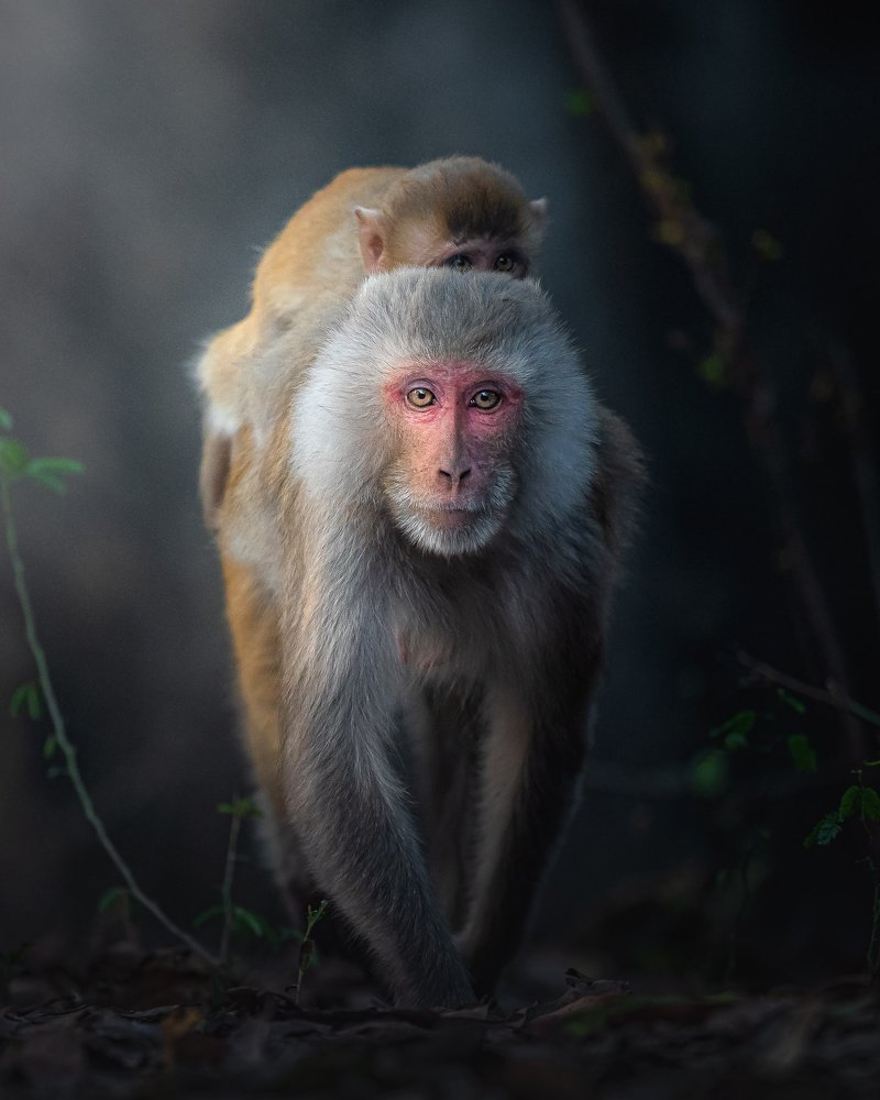 Photograph by Jignesh Patel