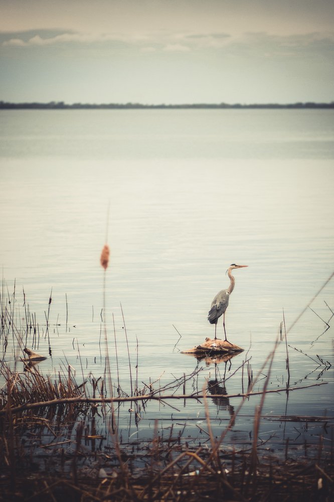 Photograph by Анна Шарохина