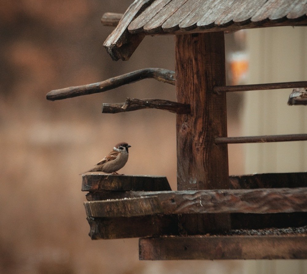 Photograph by Екатерина Кудрявцева