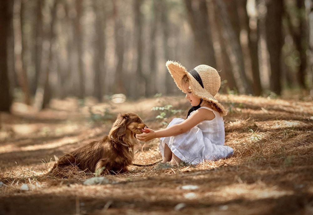 Photograph by Дарья Базарнова