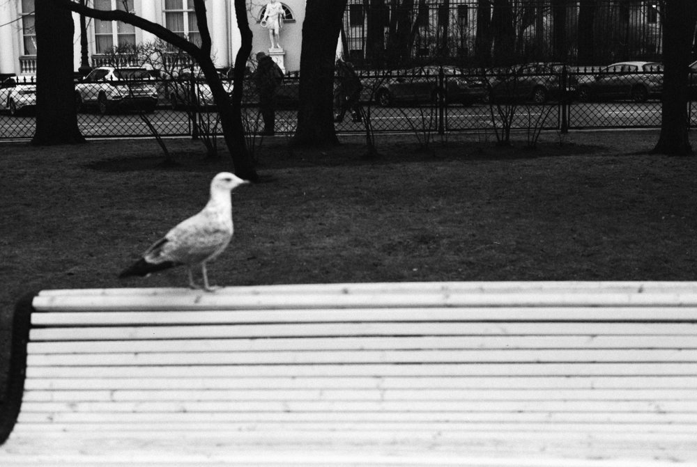 Photograph by Наталия Бочкова