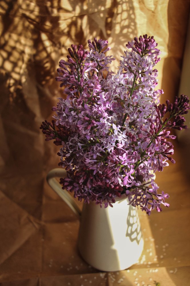 Photograph by Светлана Беляева