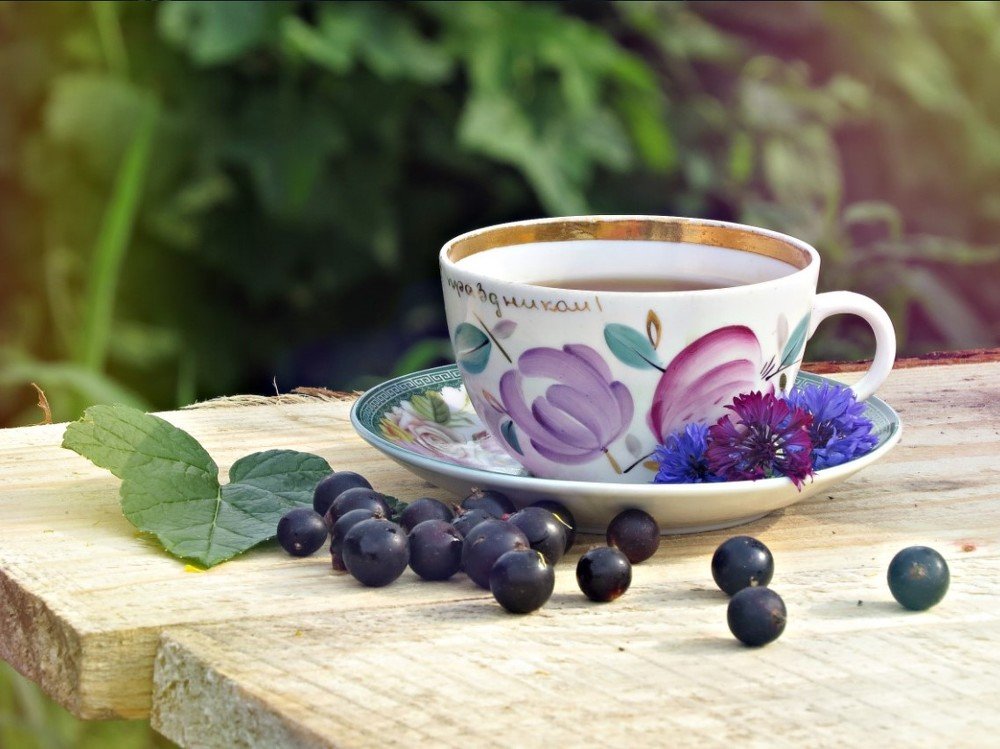 Photograph by Елена Жадько