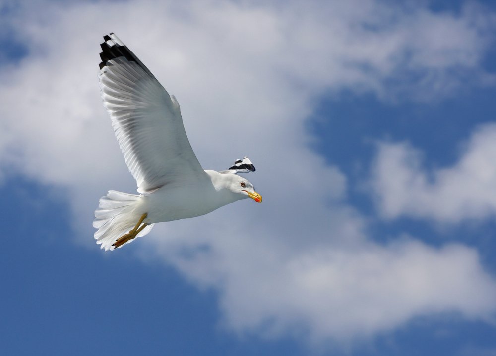 Photograph by Вика Иванова