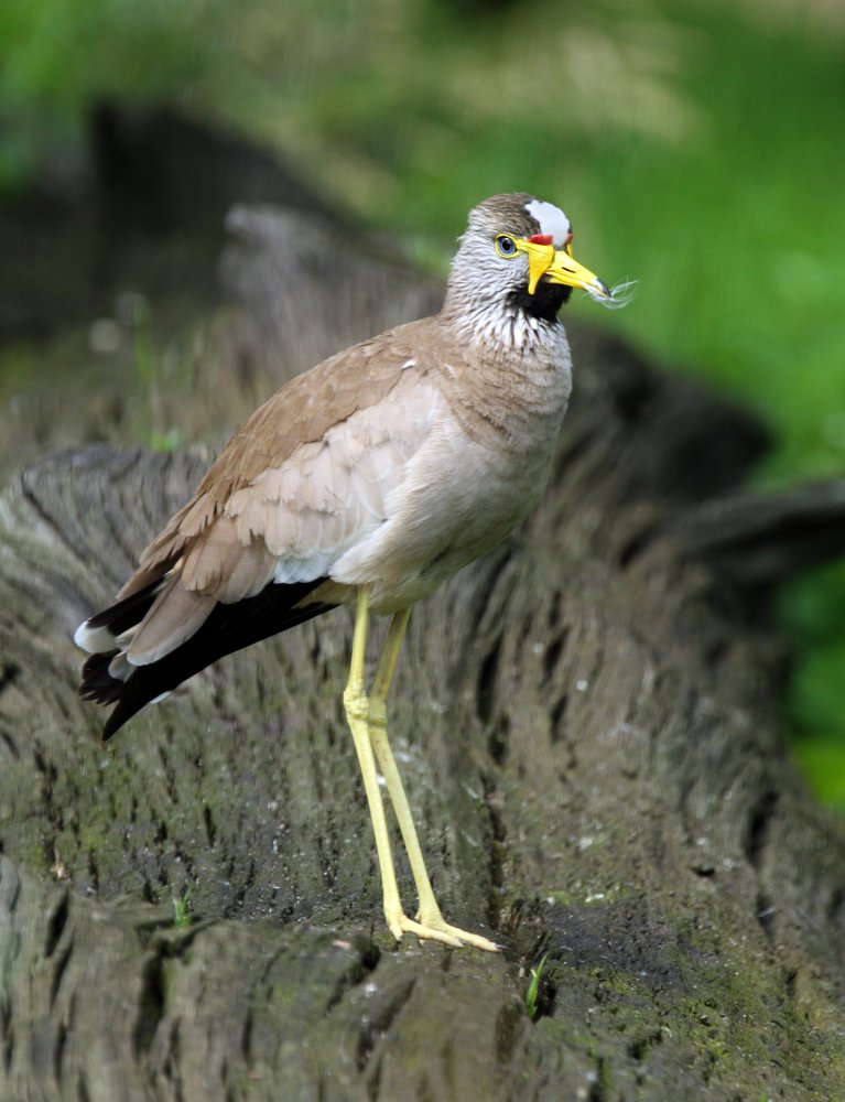 Photograph by Вика Иванова