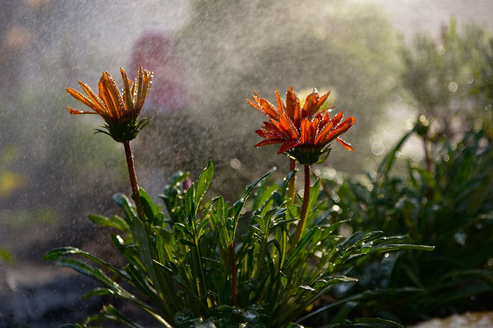 Photograph by Анна Полюх