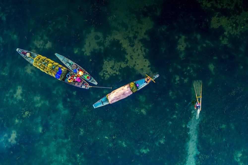 Photograph by Hong Nguyen