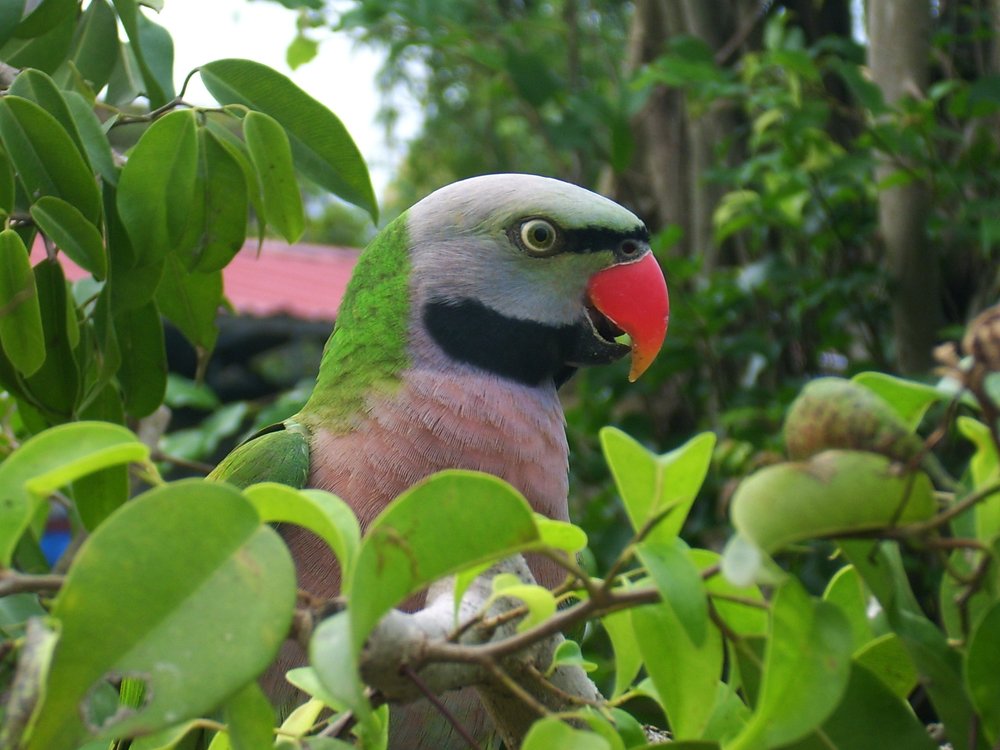 Photograph by HIEU LIEM DO