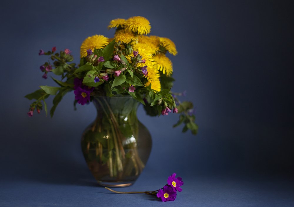 Photograph by Любовь Нефедова