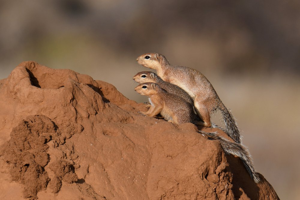 Photograph by Yuwaraj Gurjar