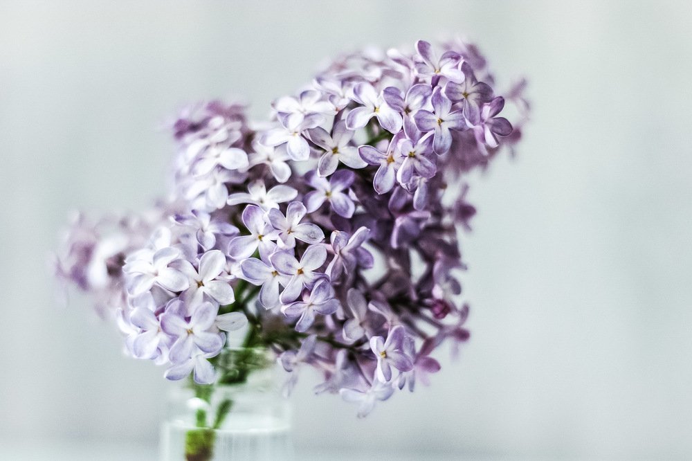 Photograph by Олег Догонов