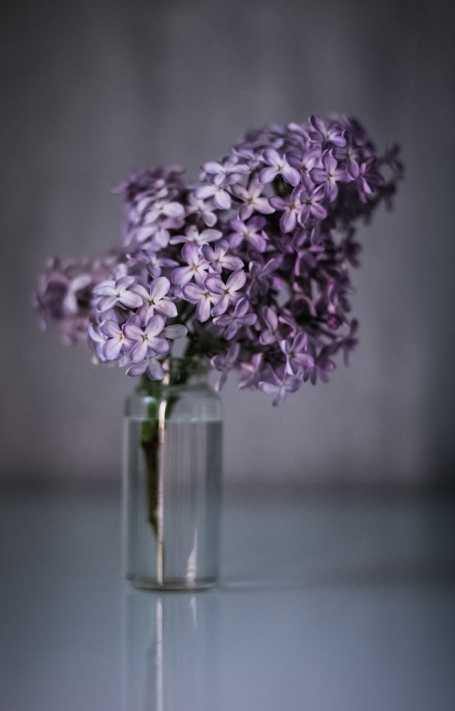 Photograph by Олег Догонов