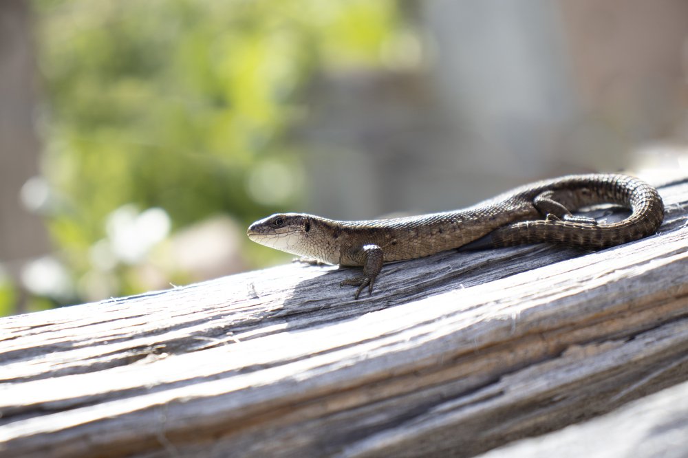 Photograph by Екатерина Слепнева