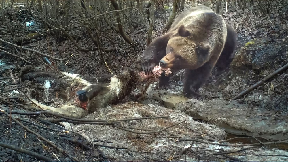 Photograph by Дмитрий