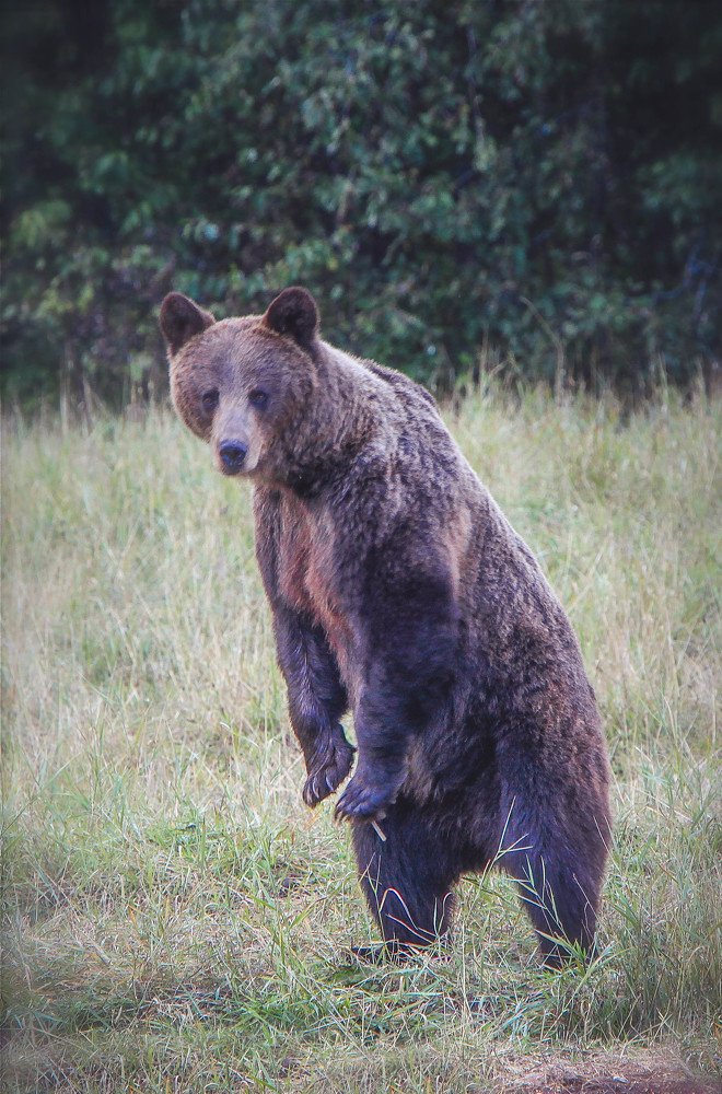 Photograph by Дмитрий