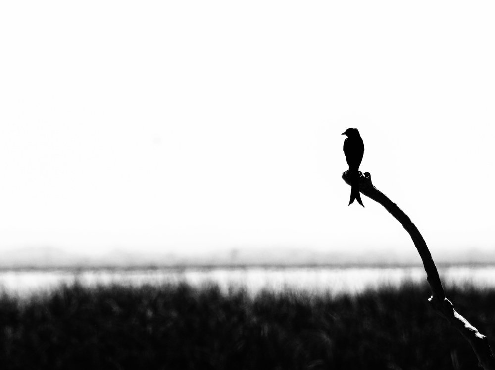 Photograph by Lalit Tank