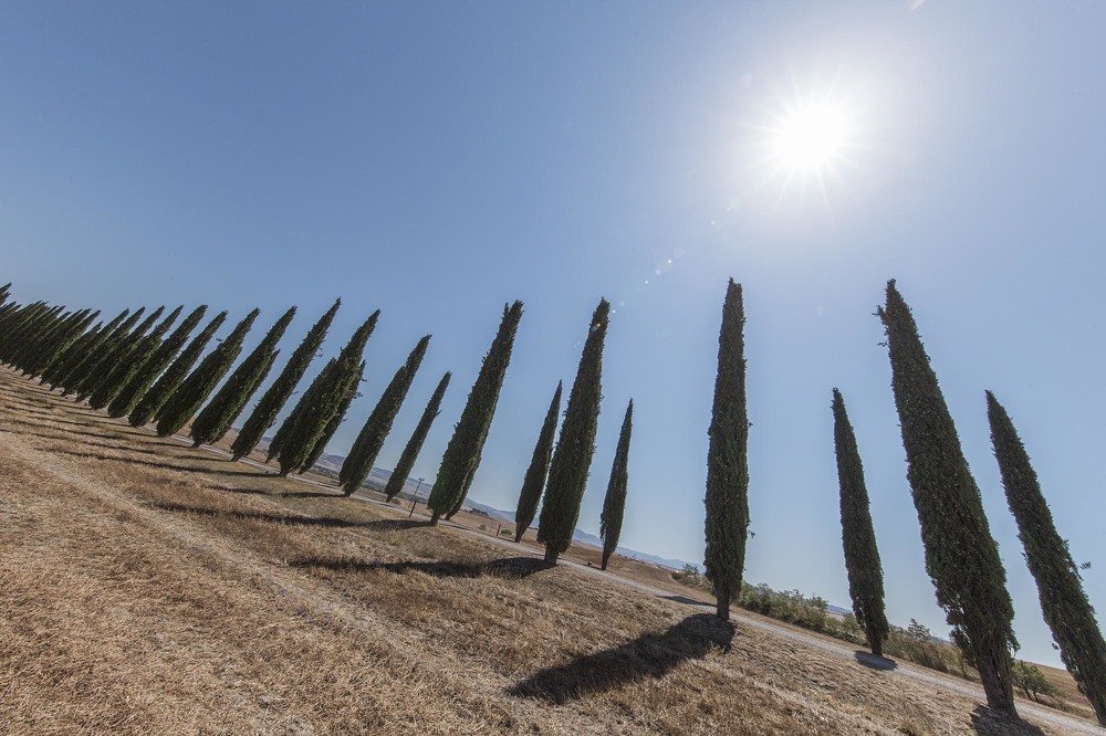 Photograph by Olena Leliuk