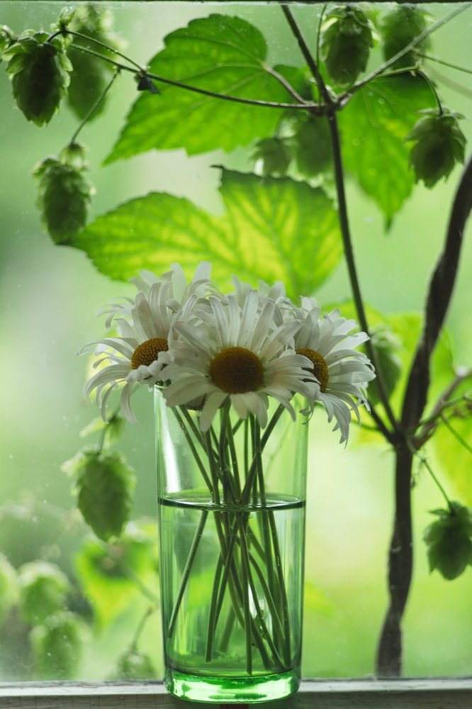 Фотография автора Андрей Шувалов