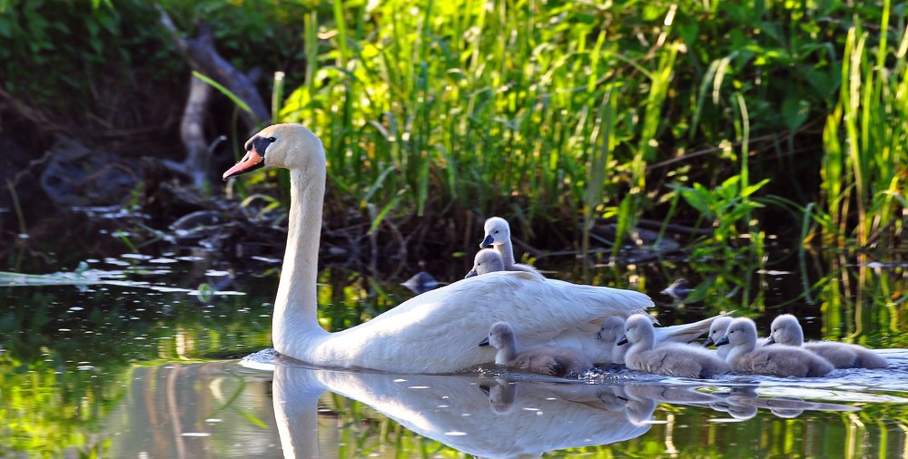 Фотография автора Антип