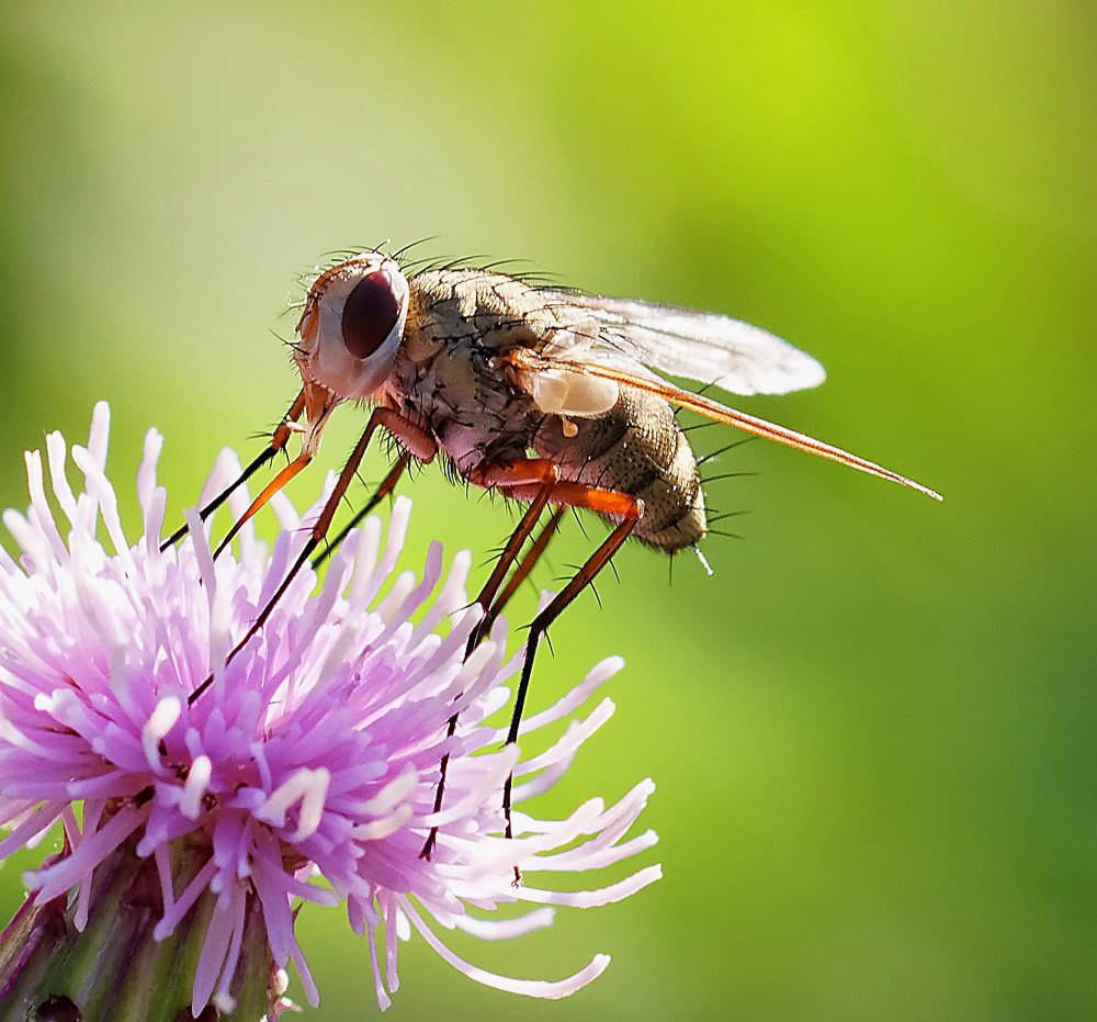 Photograph by Bernard-Serge REAT