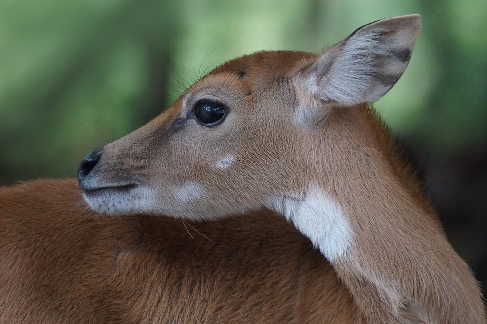 Фотография автора Artist RajNandini