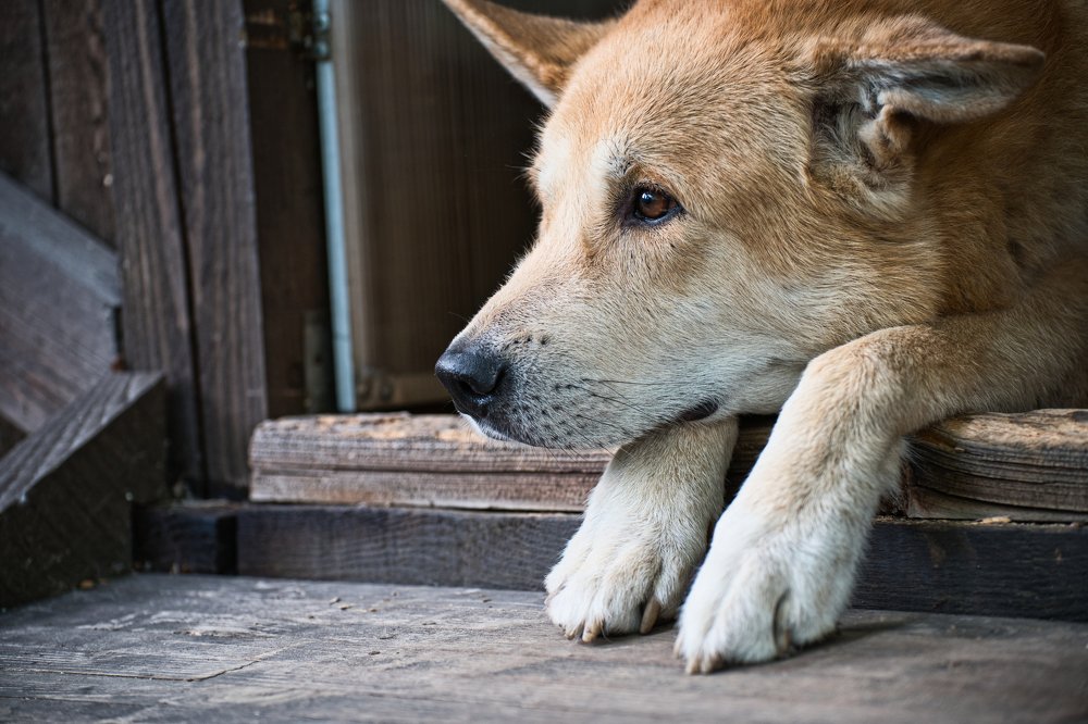 Photograph by Александр Иванов