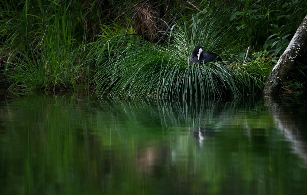 Photograph by Рахмон Болтаев