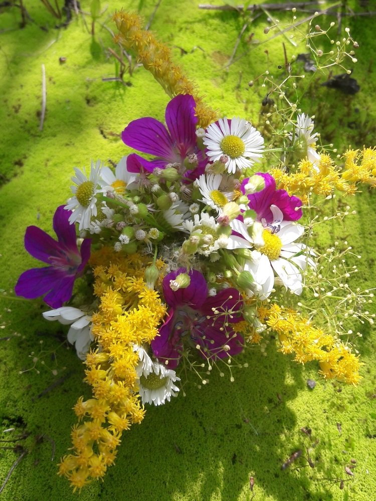 Photograph by Марина Мирошина