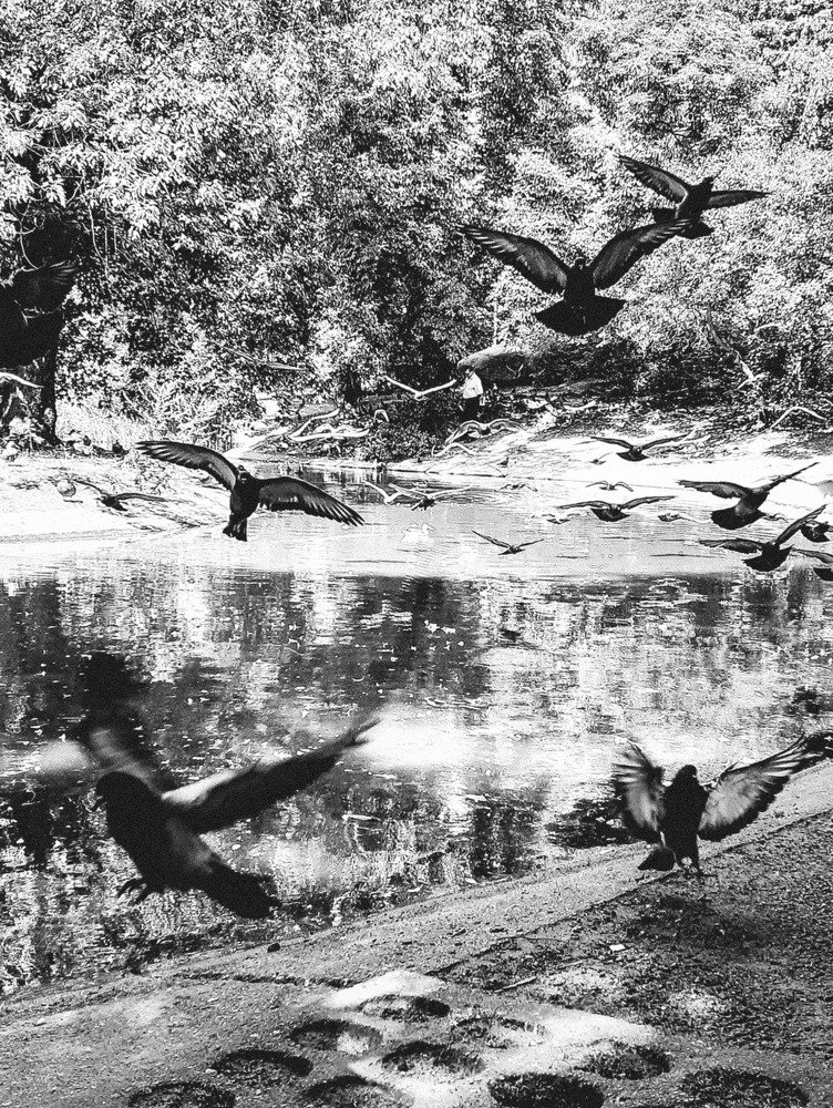 Photograph by Piotr Cichowski