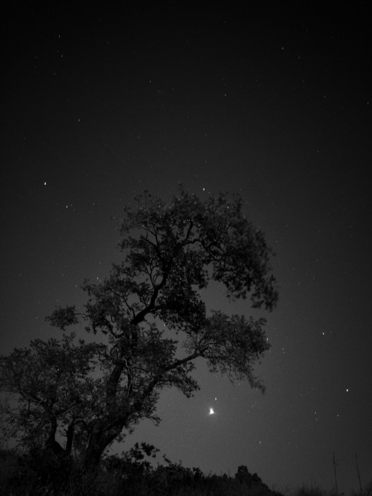 Photo #4846636