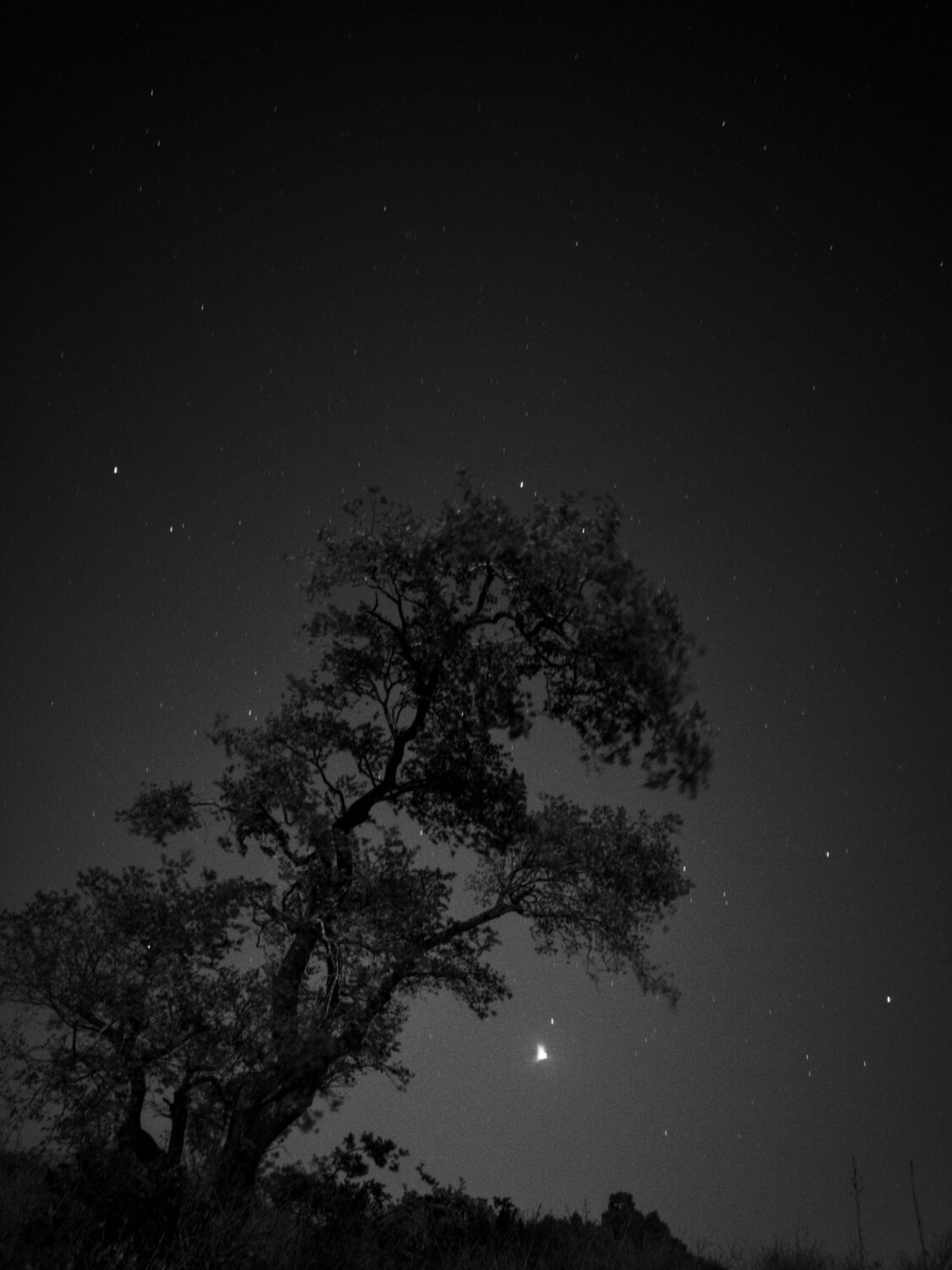 Photo #4846636
