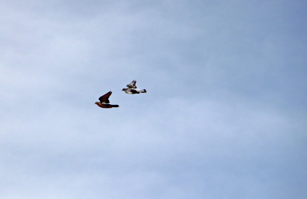 Photograph by Pavel Palkin