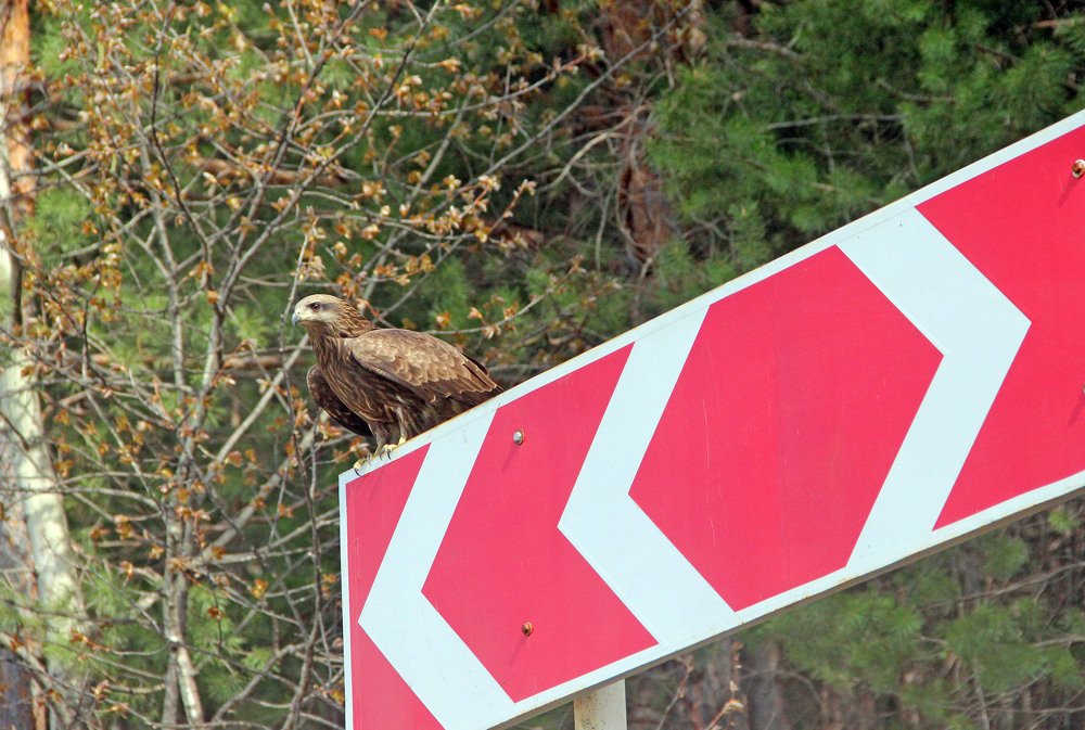 Photograph by Pavel Palkin